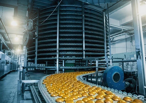 Was sind Viton FKM Dichtungen? Was sind Viton FKM Dichtungen?
