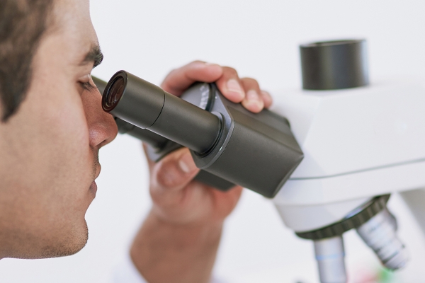 Kofler - Dichtungen und unser Qualitätsverständnis Kofler - Dichtungen und unser Qualitätsverständnis